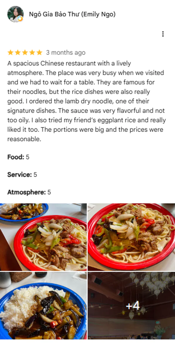 Oodles guest review 6